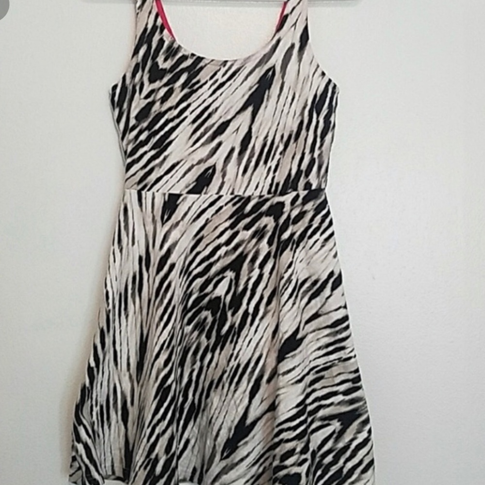 EXPRESS Zebra Print Skater Dress